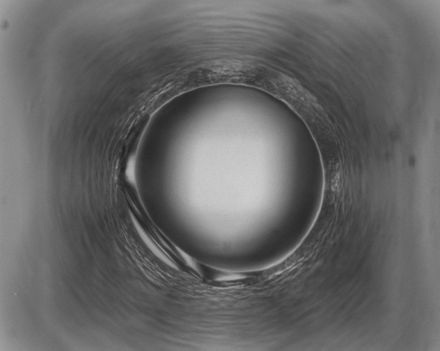 X0000086060868200703231239