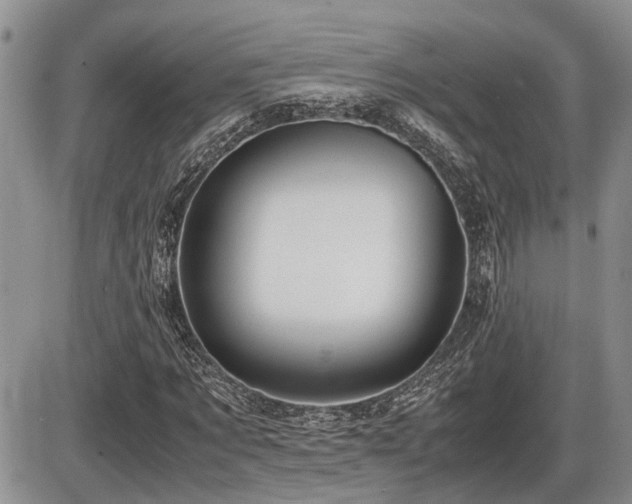 X0000086060869200703231239