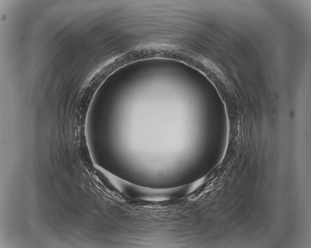 X0000086060872200703231239
