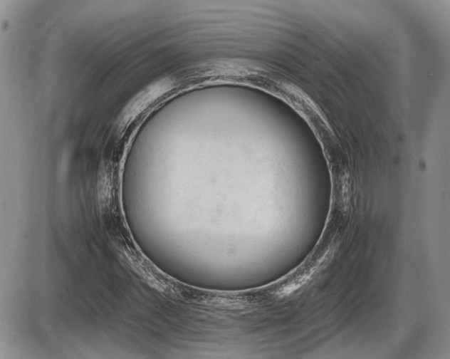 X0000086060874200703231239