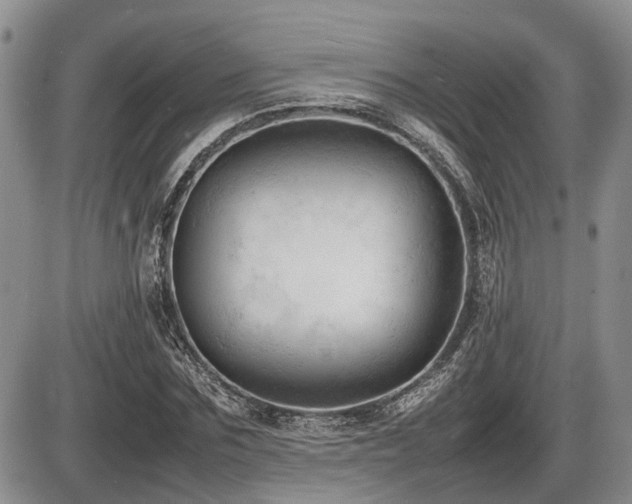 X0000086060875200703231239