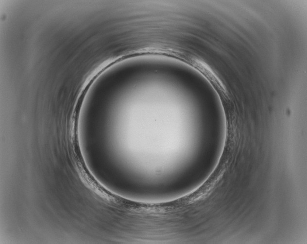 X0000086060900200703231238
