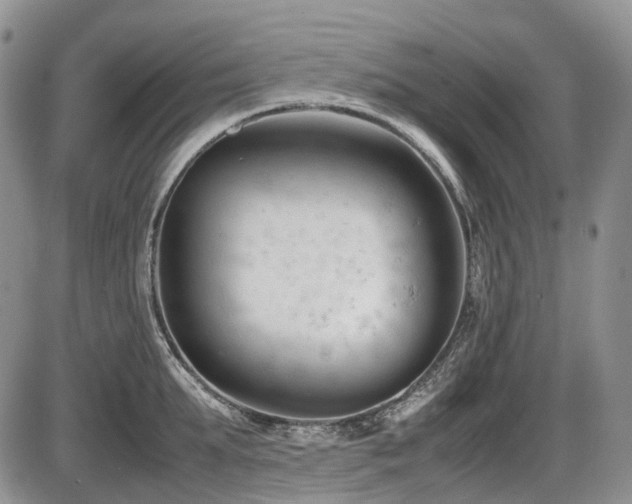 X0000086060903200703231238