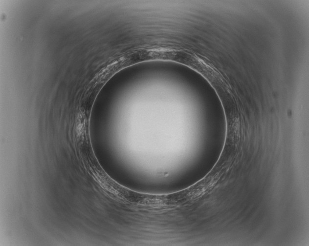 X0000086060914200703231237