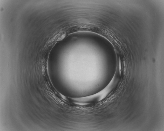 X0000086060916200703231237