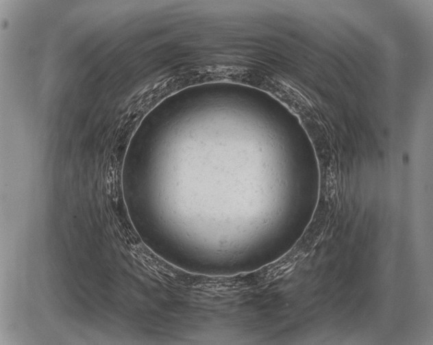 X0000086060917200703231237