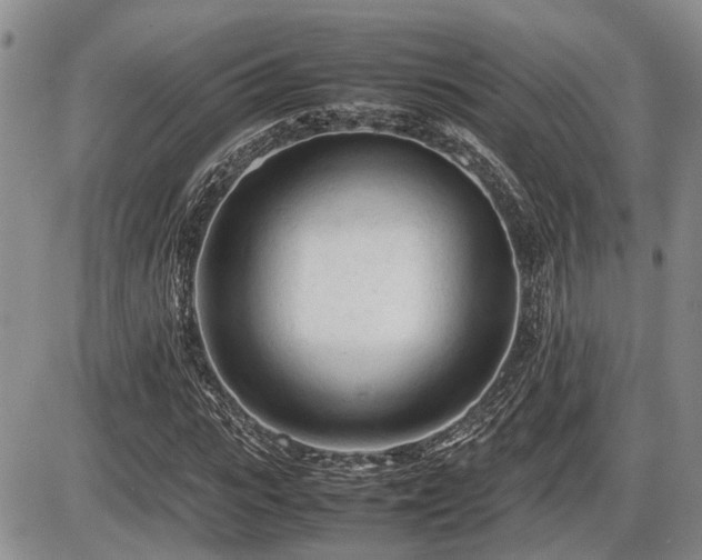 X0000086060919200703231237