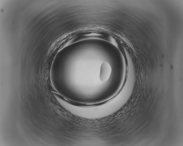 X0000086060920200703231238