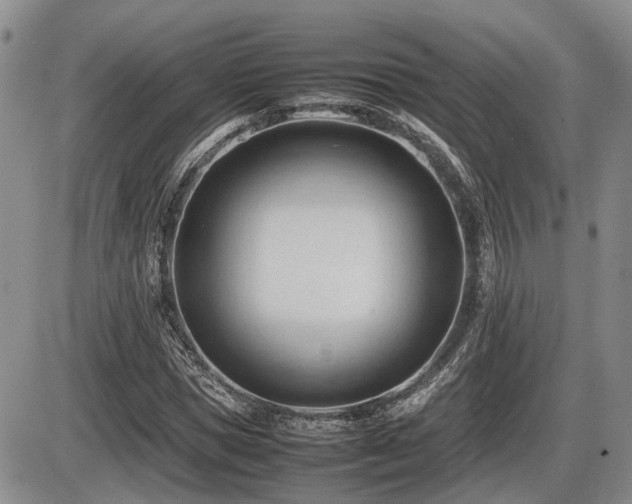 X0000086060921200703231238