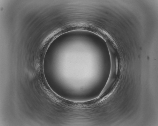X0000086060922200703231238
