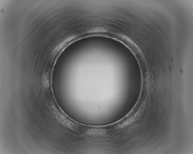X0000086060929200703231238