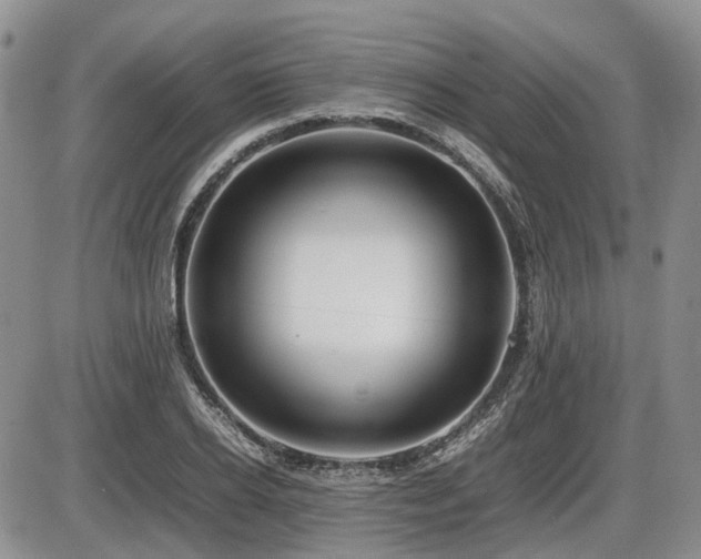 X0000086060934200703231238