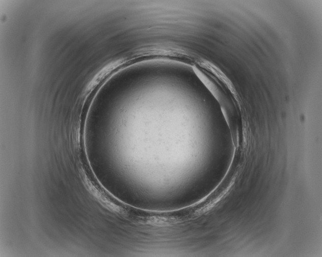 X0000086060938200703231238