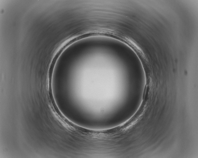 X0000086060940200703231238