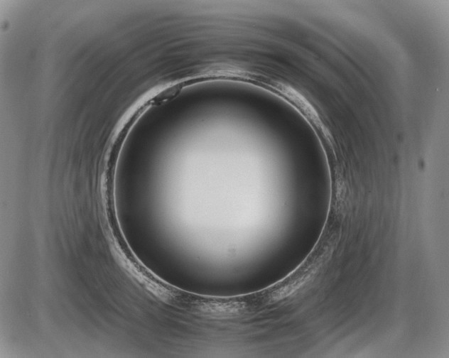 X0000086060947200703231238