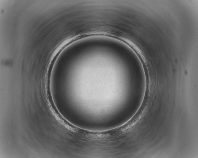 X0000086060949200703231238