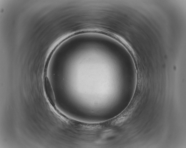 X0000086060951200703231238