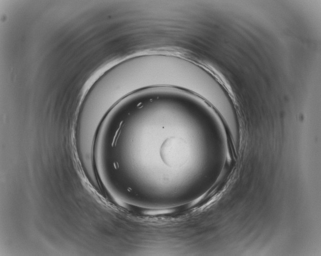 X0000086060952200703231238