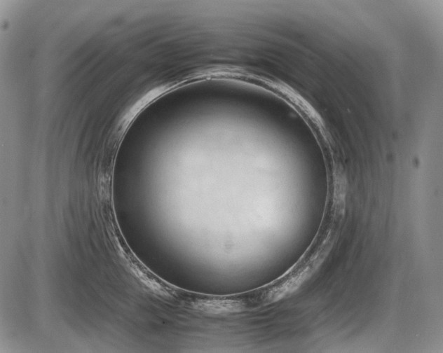X0000086060953200703231238
