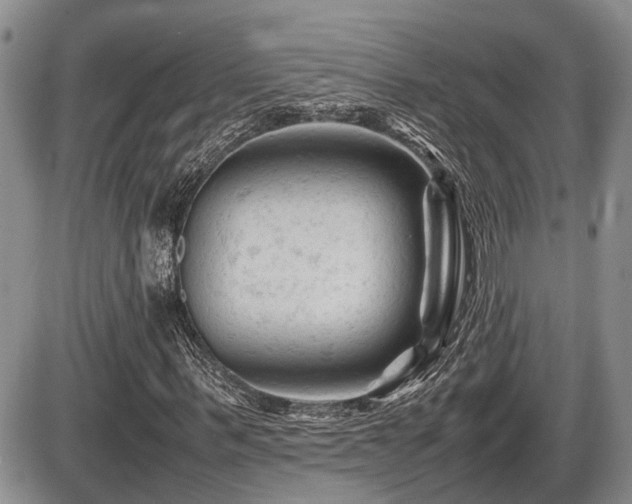 X0000086060963200703231237
