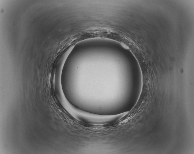 X0000086060965200703231237