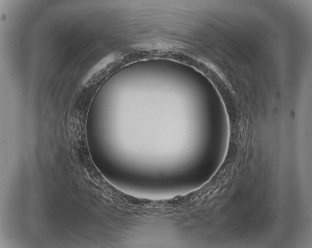 X0000086060967200703231237