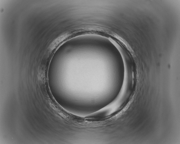 X0000086060977200703231237