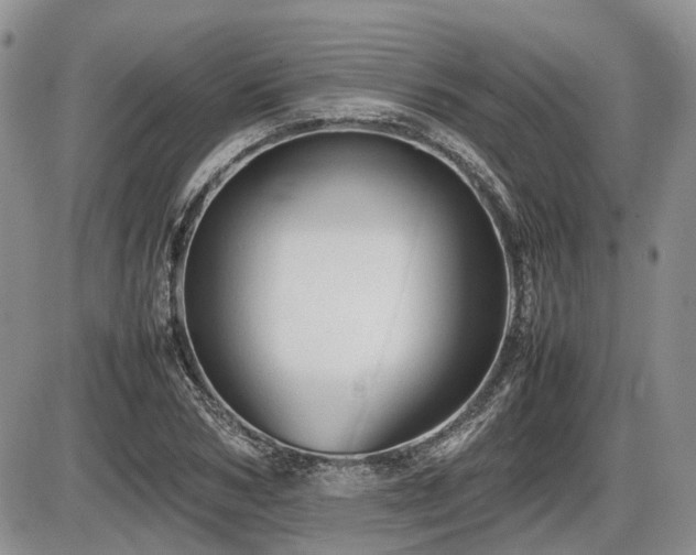 X0000086060978200703231237