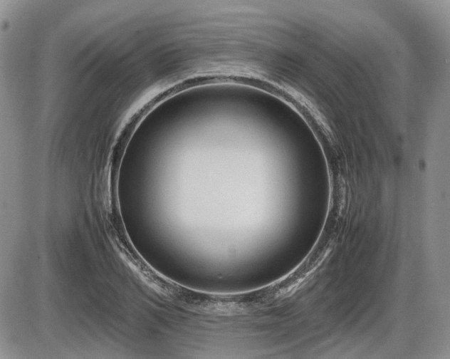 X0000086060982200703231237