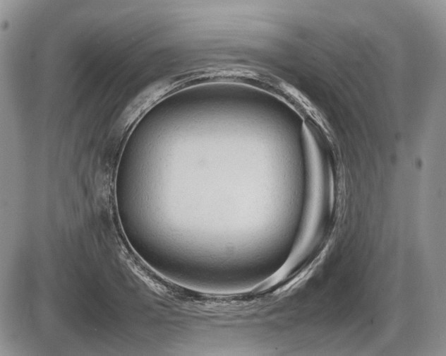 X0000086060985200703231237