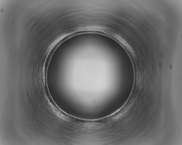 X0000086060988200703231237