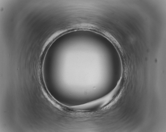 X0000086060989200703231237