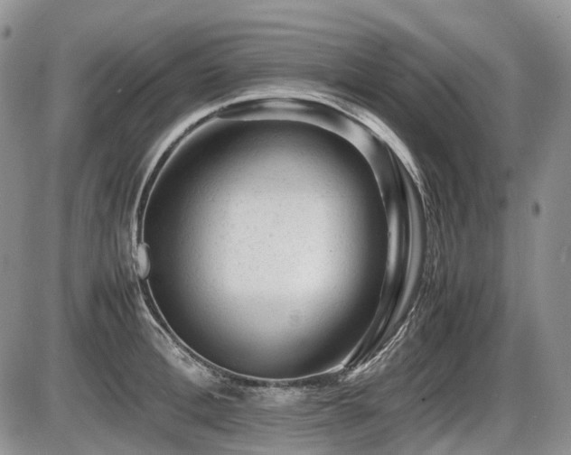 X0000086060996200703231237