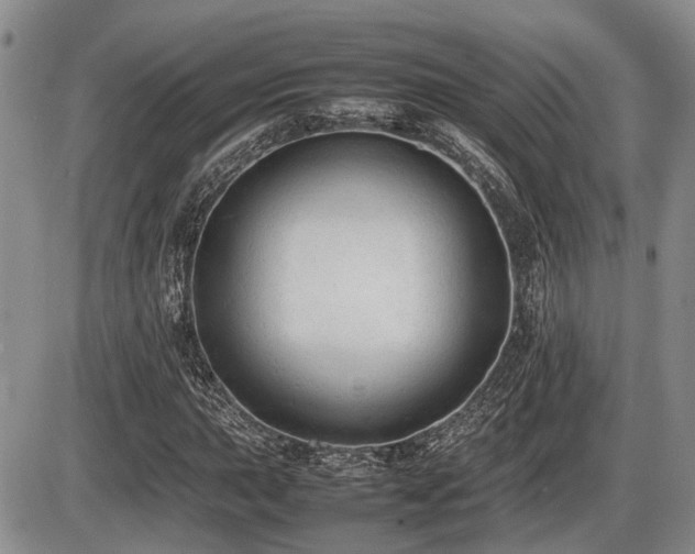 X0000086061015200703231236
