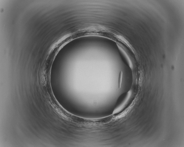 X0000086061018200703231236
