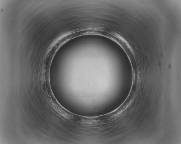 X0000086061019200703231236
