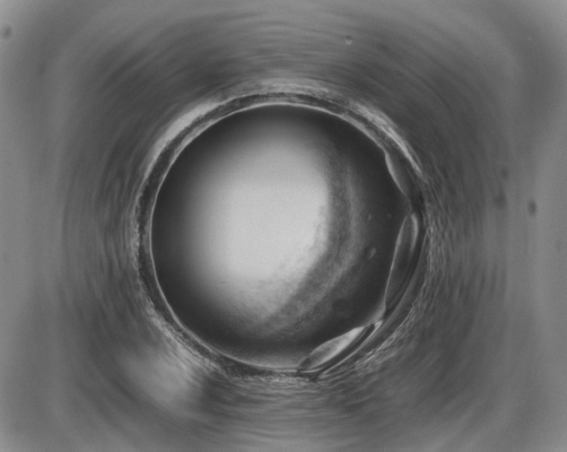 X0000086061024200703231236