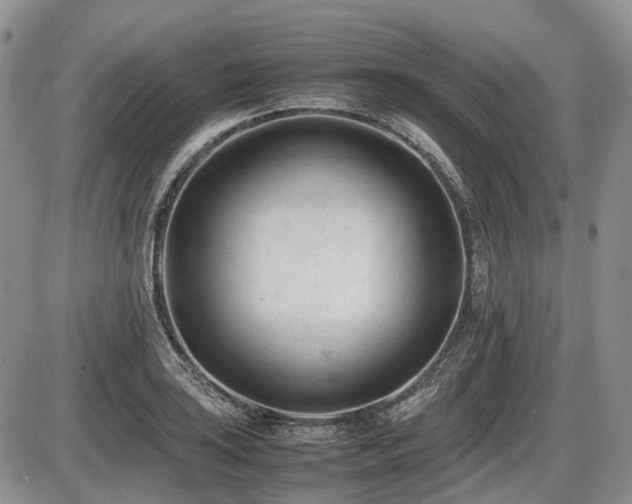 X0000086061035200703231236