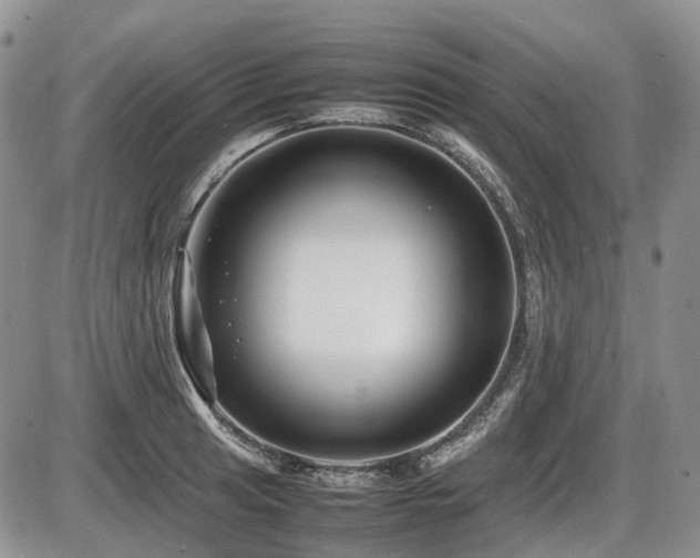 X0000086061041200703231236
