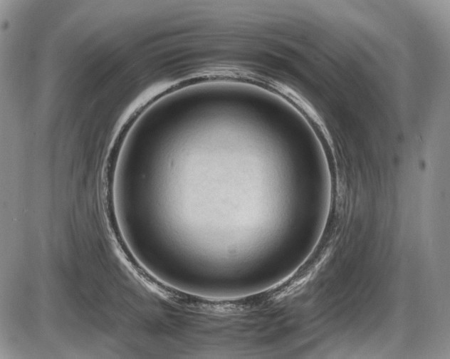 X0000086061045200703231236
