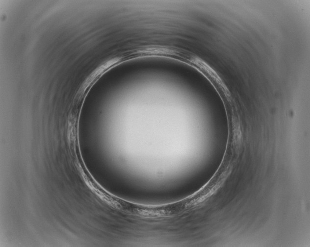 X0000086061049200703231236