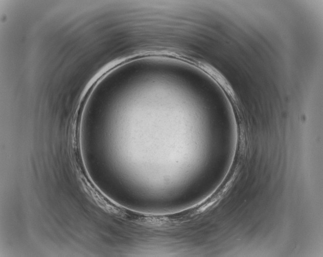 X0000086061052200703231237