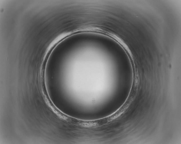 X0000086061053200703231237