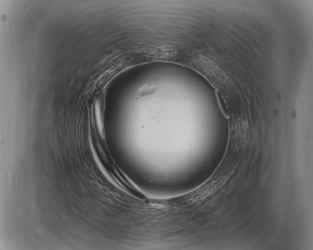 X0000086061058200703231236