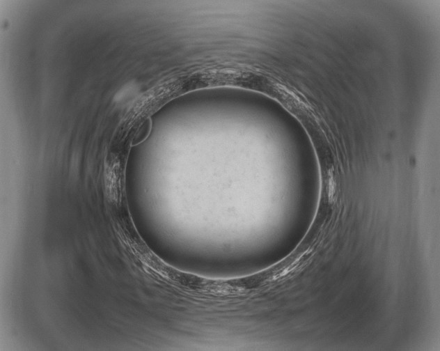 X0000086061059200703231236