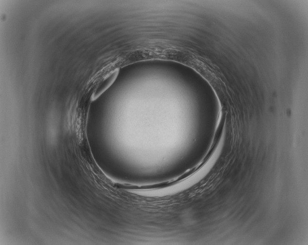 X0000086061060200703231236