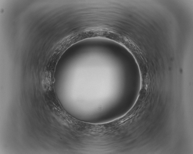 X0000086061062200703231236