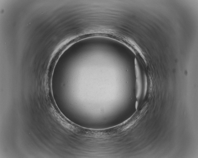 X0000086061072200703231236