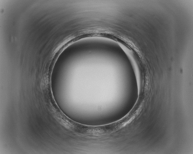 X0000086061073200703231236