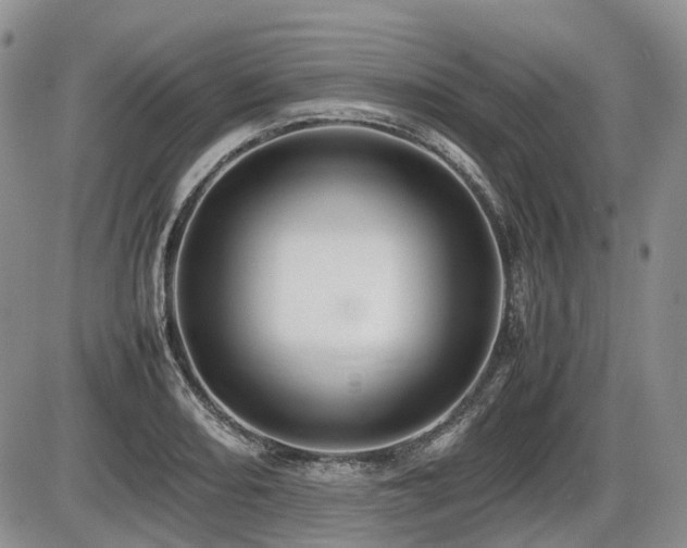 X0000086061082200703231235